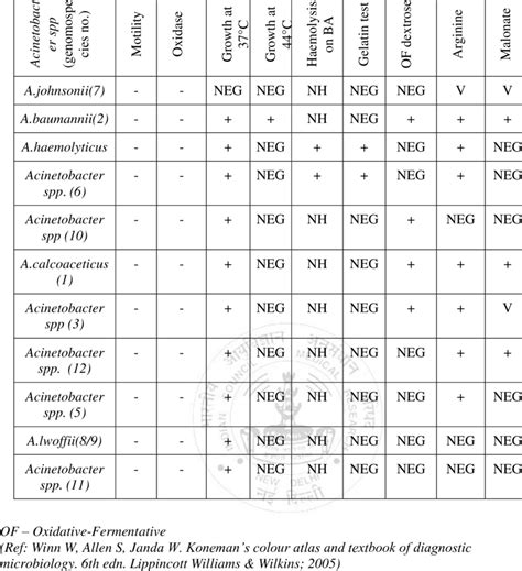 acinetobacter spp biochemical test|Accurate identification of clinically important .